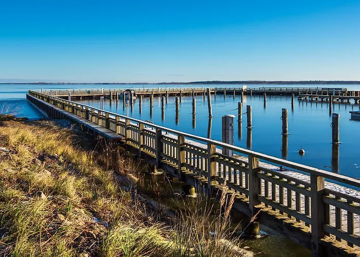 1 ホームステイ